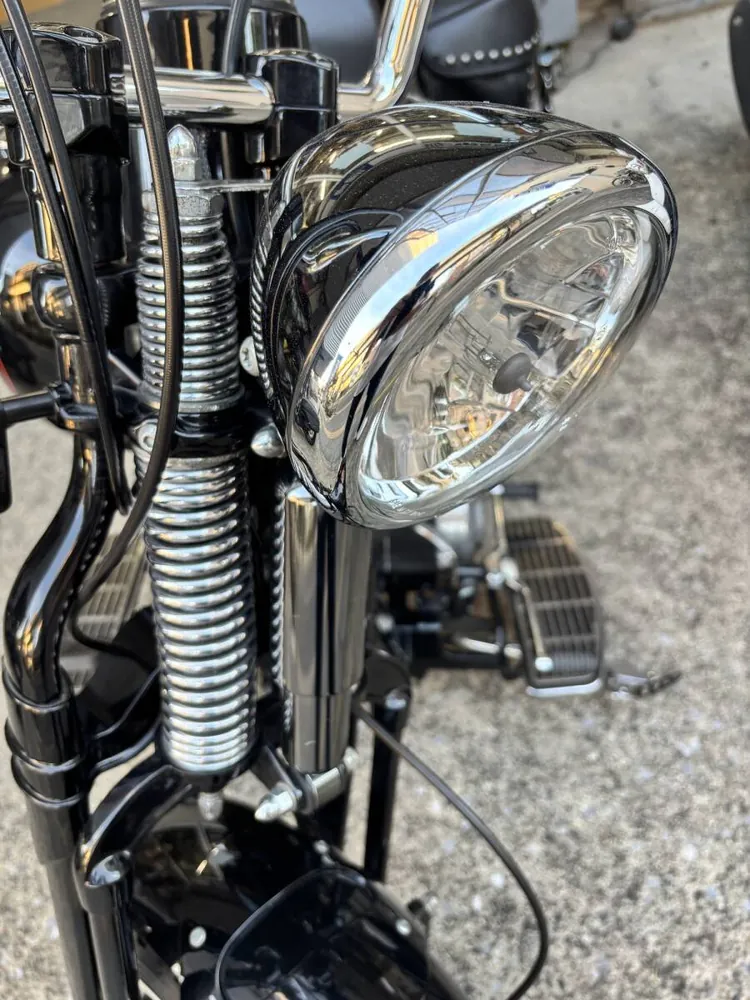 Harley-Davidson FLSTSB 2010, фото 10