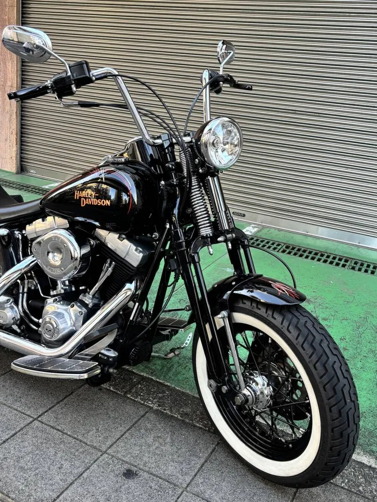 Harley-Davidson FLSTSB 2010, фото 3