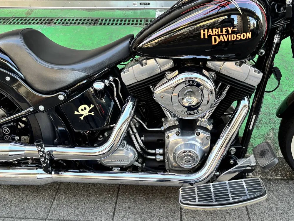 Harley-Davidson FLSTSB 2010, фото 4
