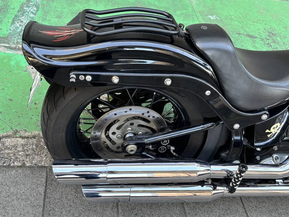 Harley-Davidson FLSTSB 2010, фото 5