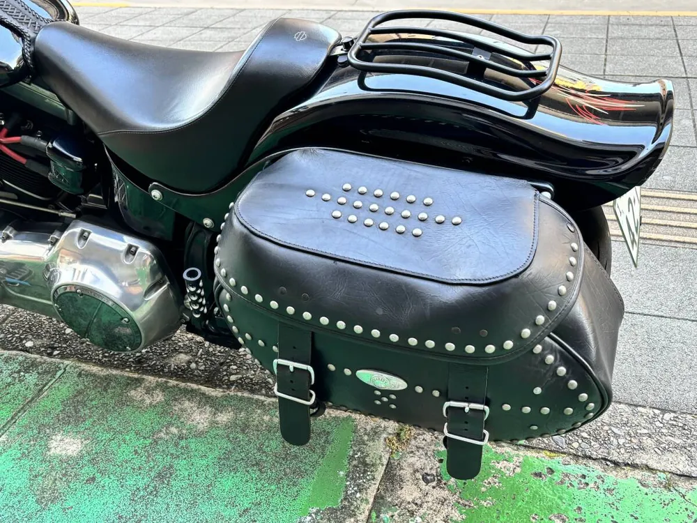 Harley-Davidson FLSTSB 2010, фото 6