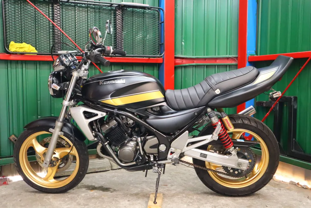 Kawasaki Balius II 2007, фото 2