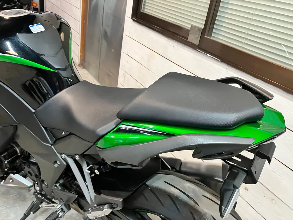 Kawasaki NINJA1000SX 2021, black/green, фото 5