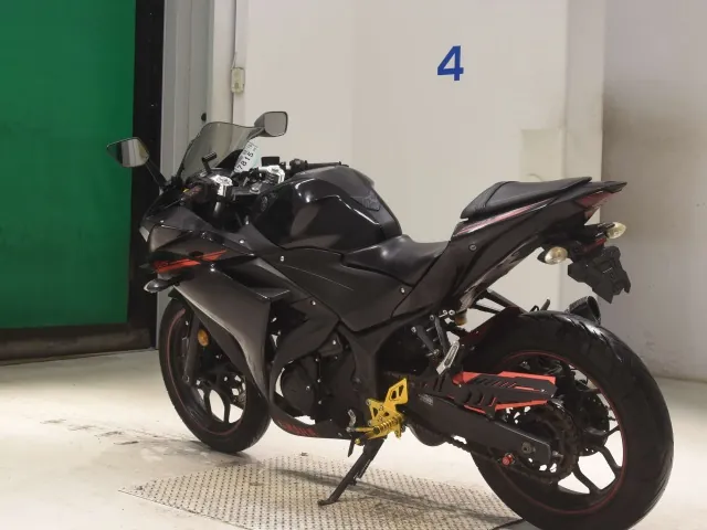 Yamaha YZF-R25, чёрный, фото 6