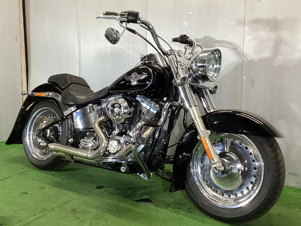 Harley-Davidson FLSTF 2015, фото 3