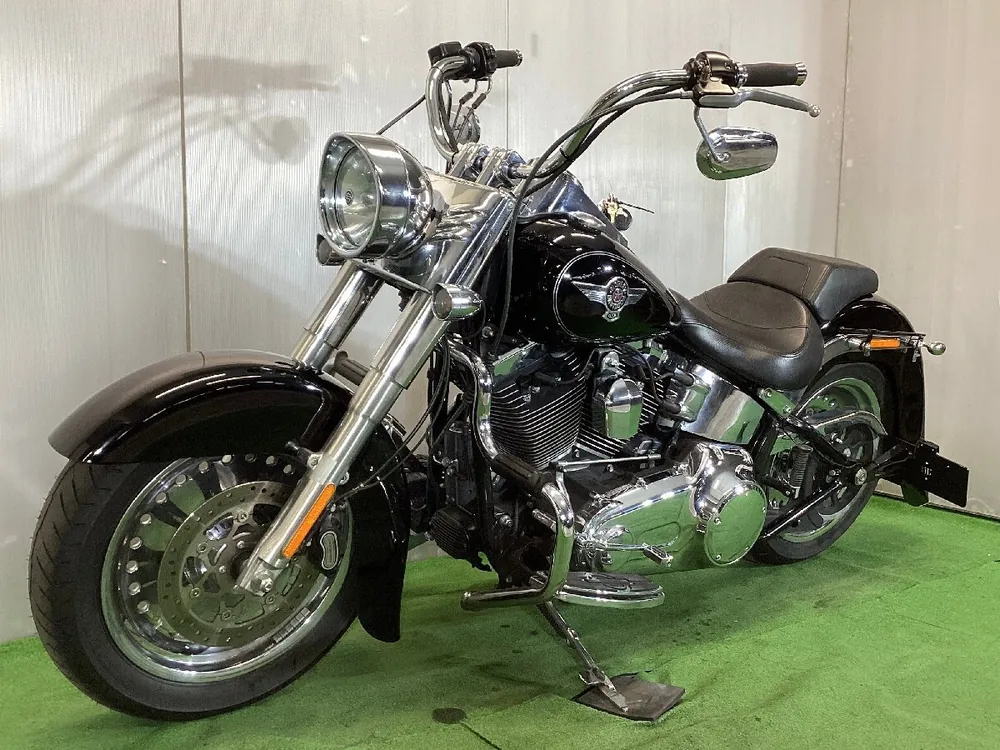Harley-Davidson FLSTF 2015, фото 5