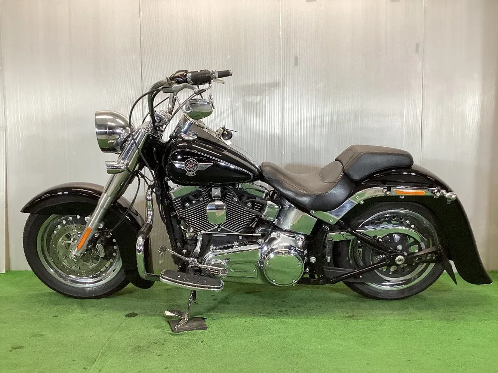 Harley-Davidson FLSTF 2015, фото 6