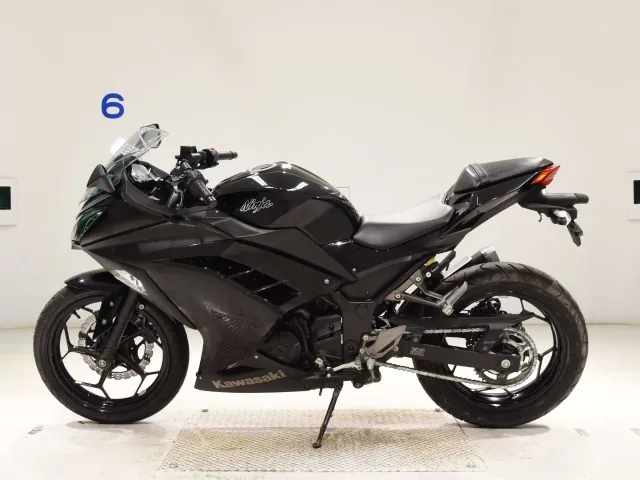 Kawasaki Ninja 250, чёрный, фото 2