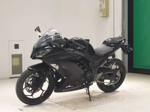 Kawasaki Ninja 250, чёрный, фото 4