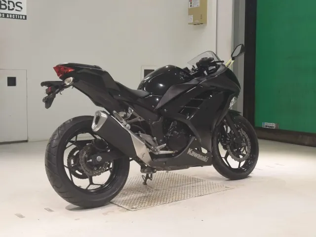 Kawasaki Ninja 250, чёрный, фото 5