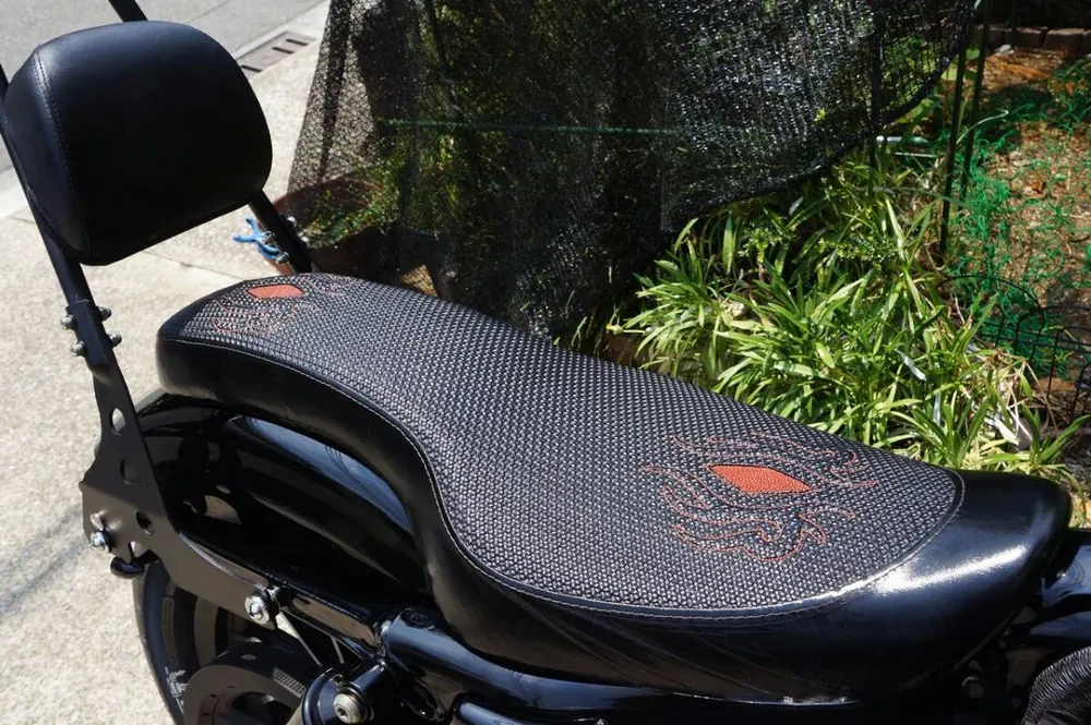 Harley-Davidson XL883R 2007, фото 8