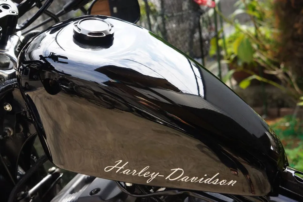 Harley-Davidson XL883R 2007, фото 9