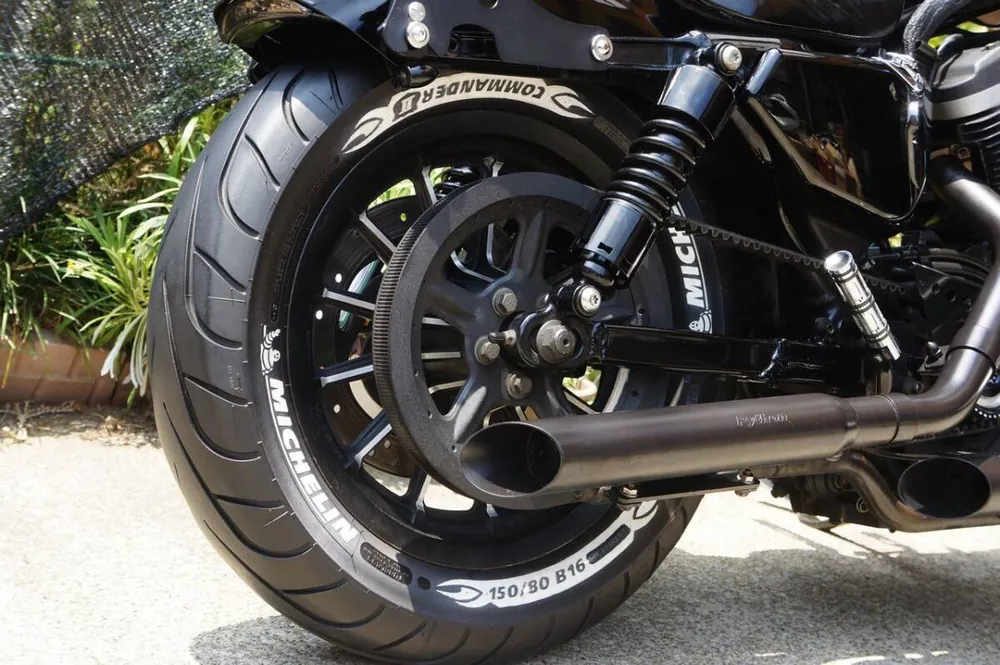 Harley-Davidson XL883R 2007, фото 10