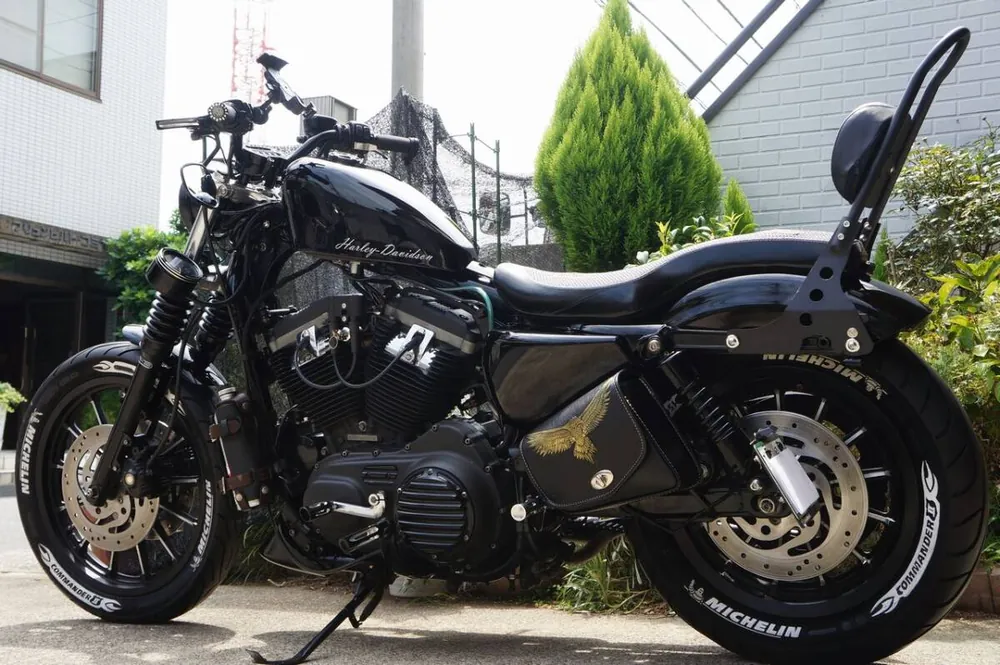 Harley-Davidson XL883R 2007, фото 3
