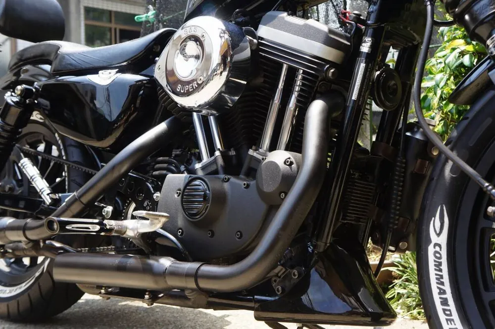 Harley-Davidson XL883R 2007, фото 5