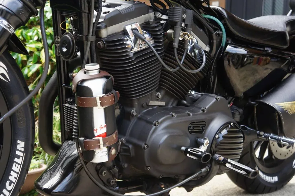 Harley-Davidson XL883R 2007, фото 6