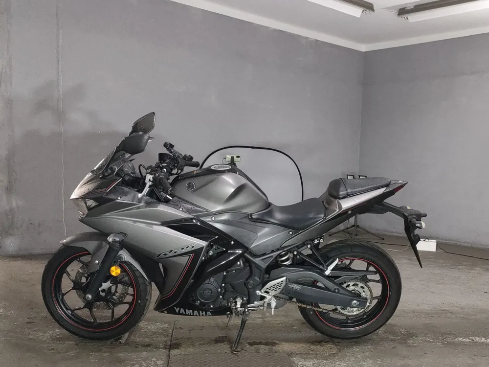 Yamaha YZF-R25, серый, фото 2