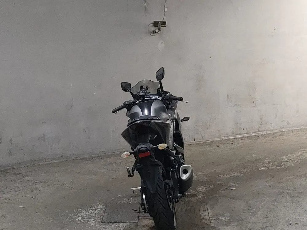 Yamaha YZF-R25, серый, фото 4
