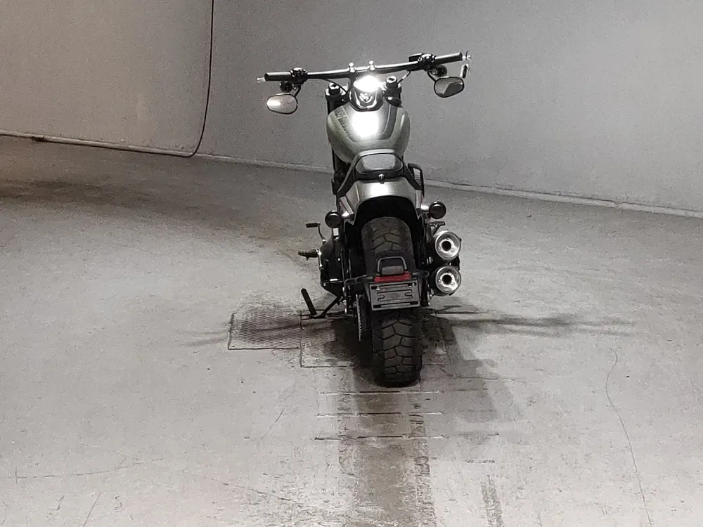 Harley-Davidson FXFBS1870 2021, зелёный, фото 4