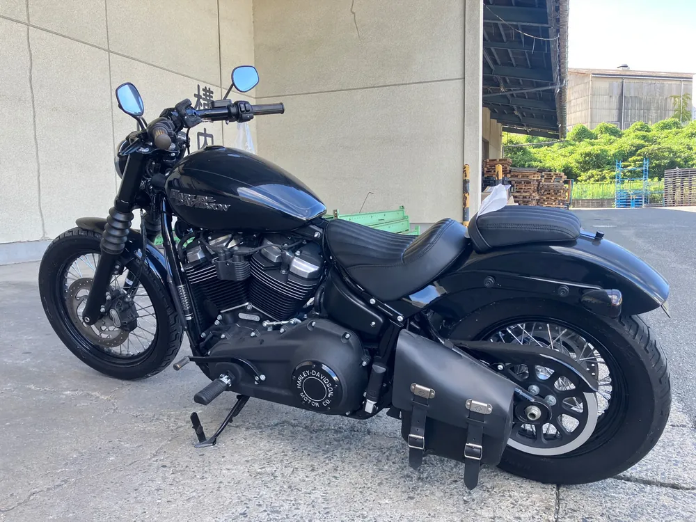 Harley-Davidson FXBB 2020, чёрный, фото 2