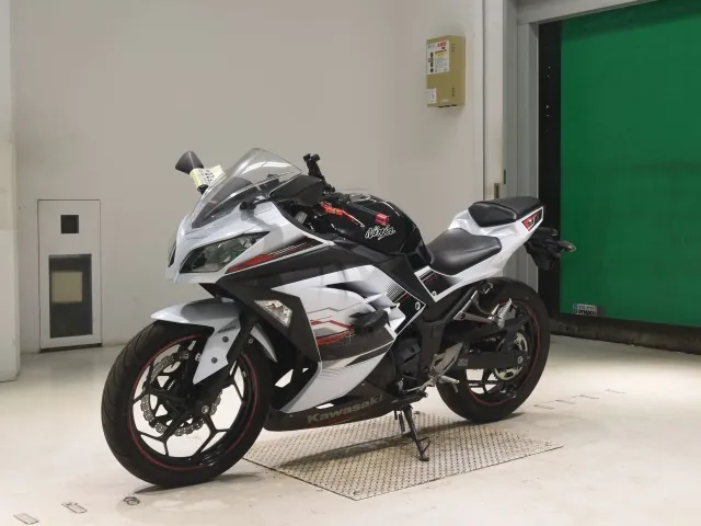 Kawasaki Ninja 250, белый, фото 4