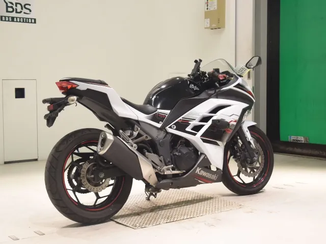 Kawasaki Ninja 250, белый, фото 5
