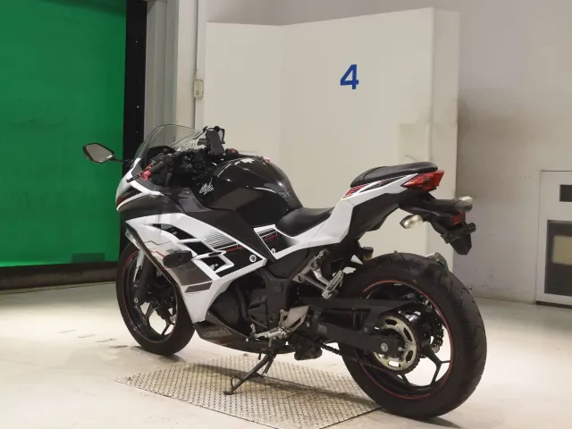 Kawasaki Ninja 250, белый, фото 6