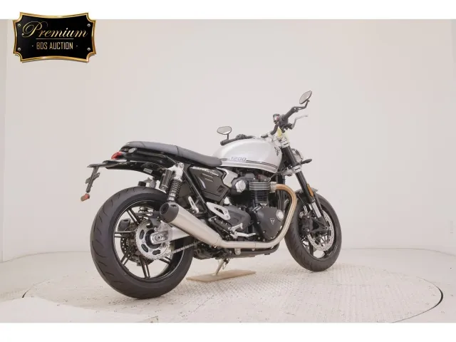 Triumph Speed Twin 2026, серебристый, фото 5