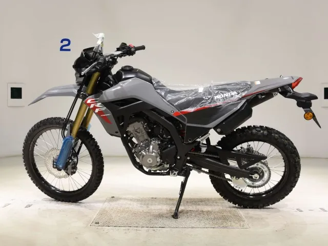Honda CRF250 Rally, серый, фото 2