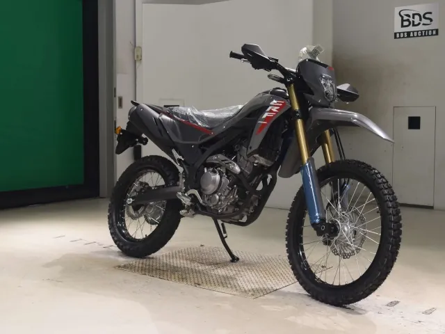 Honda CRF250 Rally, серый, фото 3