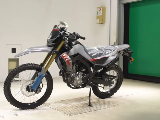 Honda CRF250 Rally, серый, фото 4