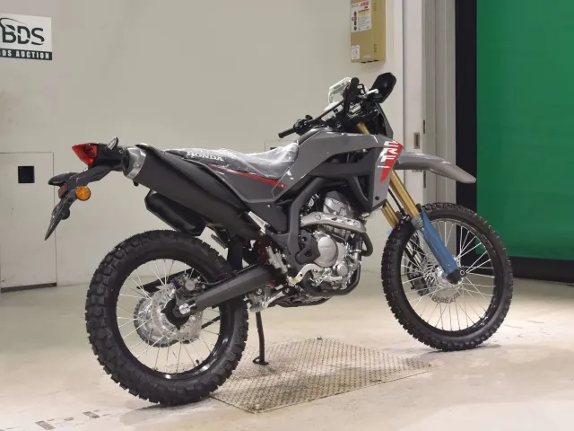 Honda CRF250 Rally, серый, фото 5