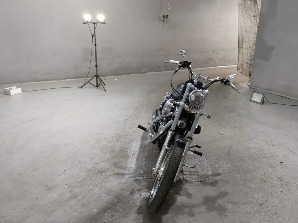 Harley-Davidson XL1200C 2008, чёрный, фото 3