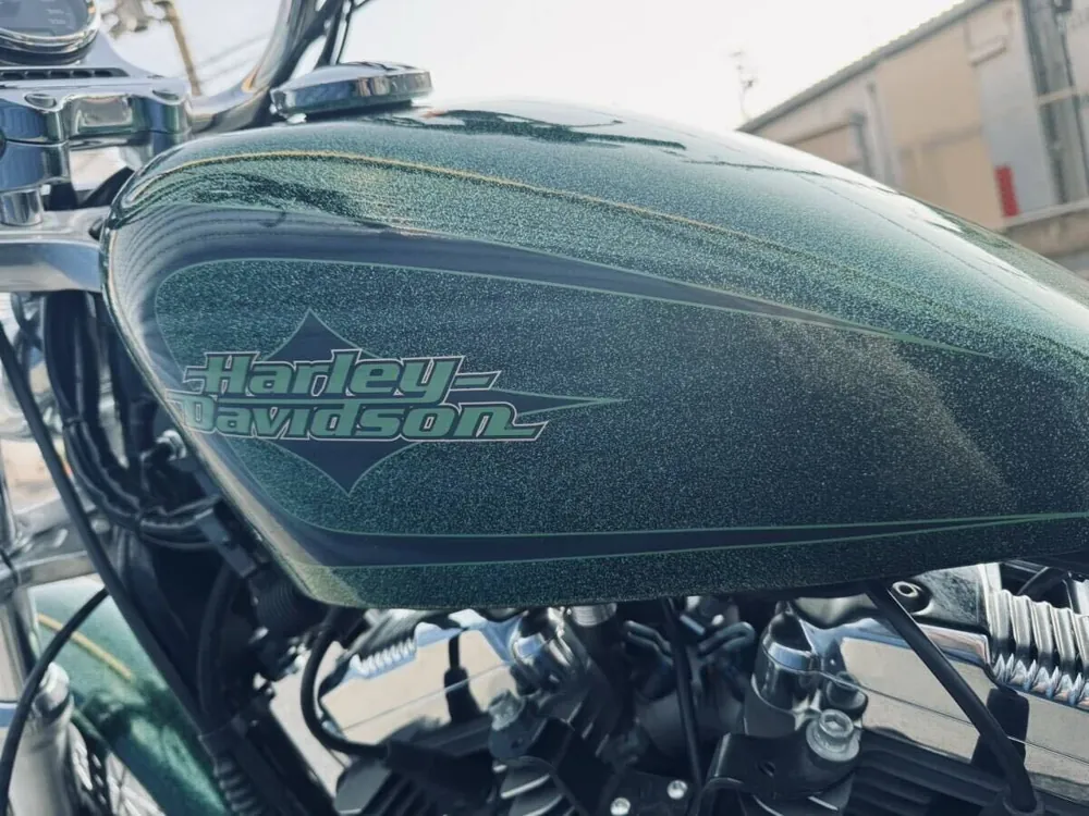 Harley-Davidson XL1200V 2013, фото 2