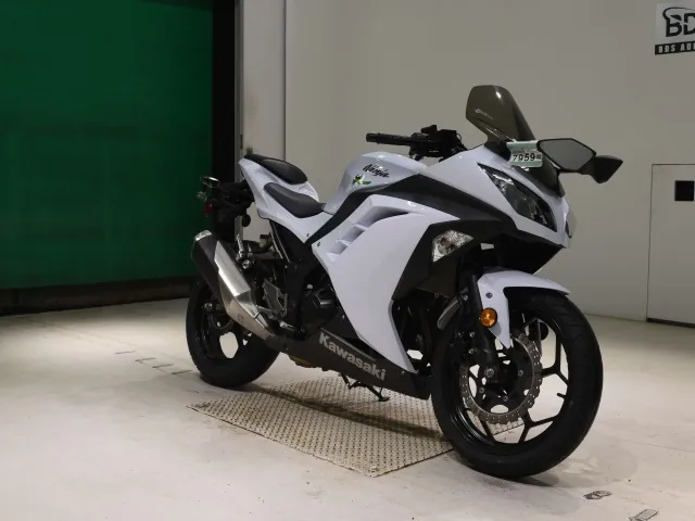 Kawasaki Ninja 300 2013, белый, фото 3