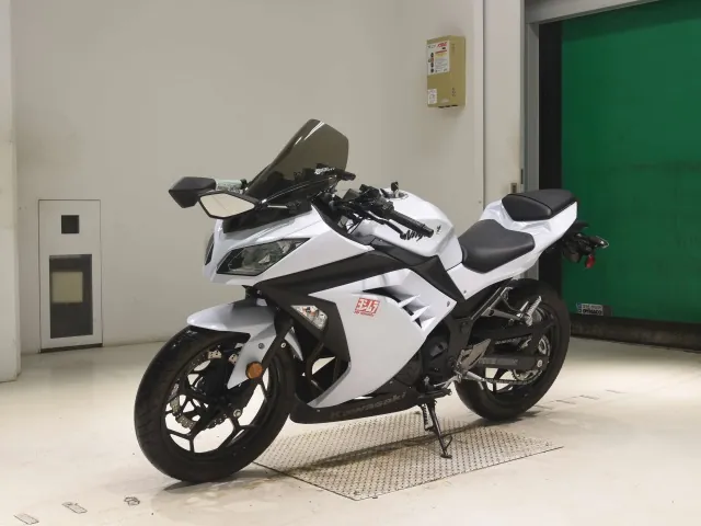 Kawasaki Ninja 300 2013, белый, фото 4