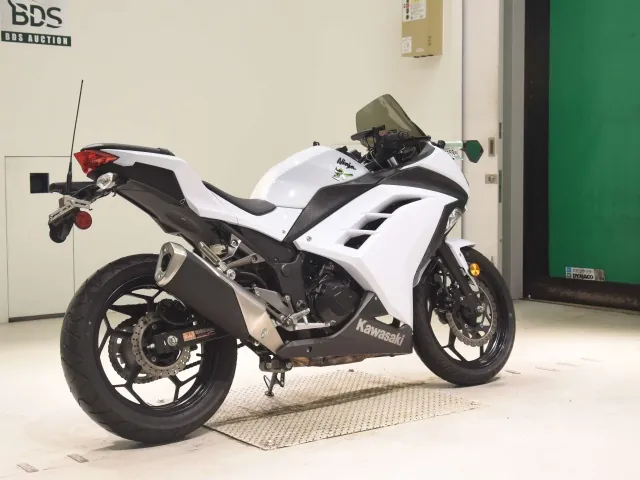 Kawasaki Ninja 300 2013, белый, фото 5
