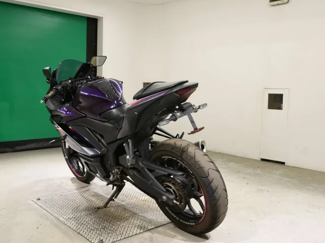 Yamaha YZF-R25, фиолетовый, фото 6
