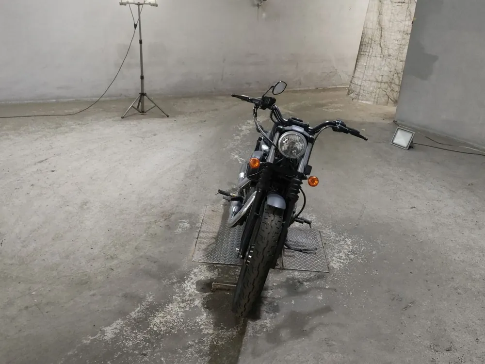 Harley-Davidson XL883N 2010, чёрный, фото 3