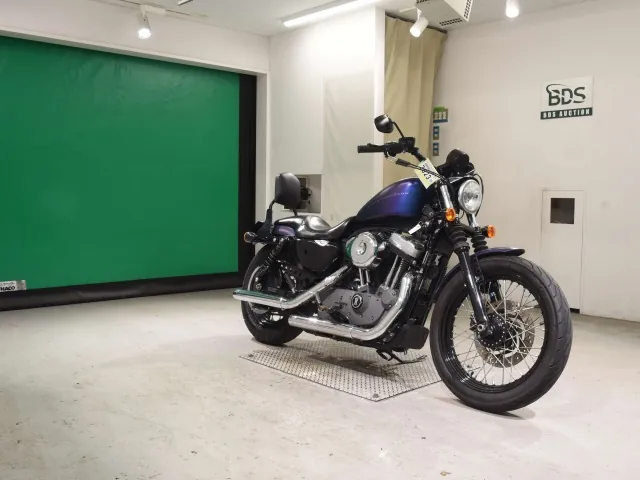 Harley-Davidson XL1200N 2009, фиолетовый, фото 3