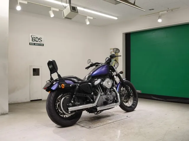 Harley-Davidson XL1200N 2009, фиолетовый, фото 5