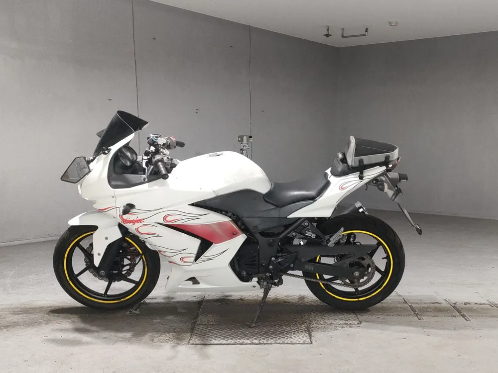 Kawasaki Ninja 250SL, белый, фото 2
