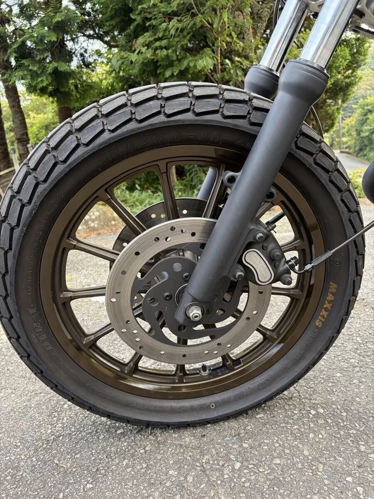 Harley-Davidson XL1200S 2000, фото 6