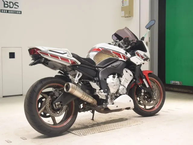 Yamaha FZ-1 FEATHER 2009, white | red | black, фото 5
