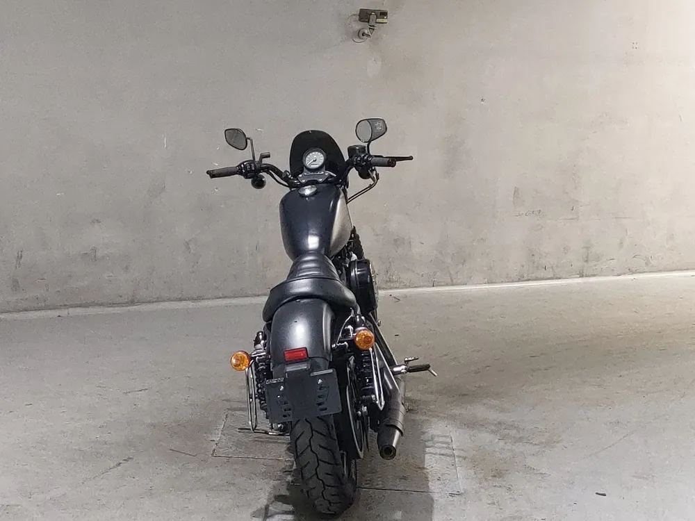 Harley-Davidson XL883N 2016, чёрный, фото 4