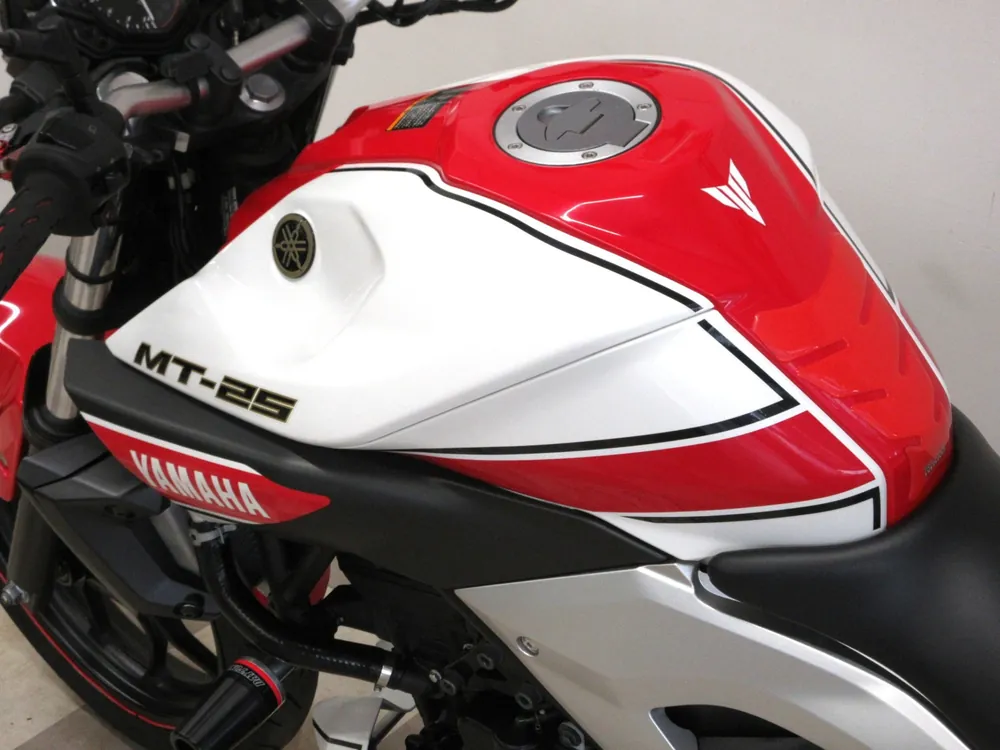 Yamaha YZF-R25, white / red, фото 12