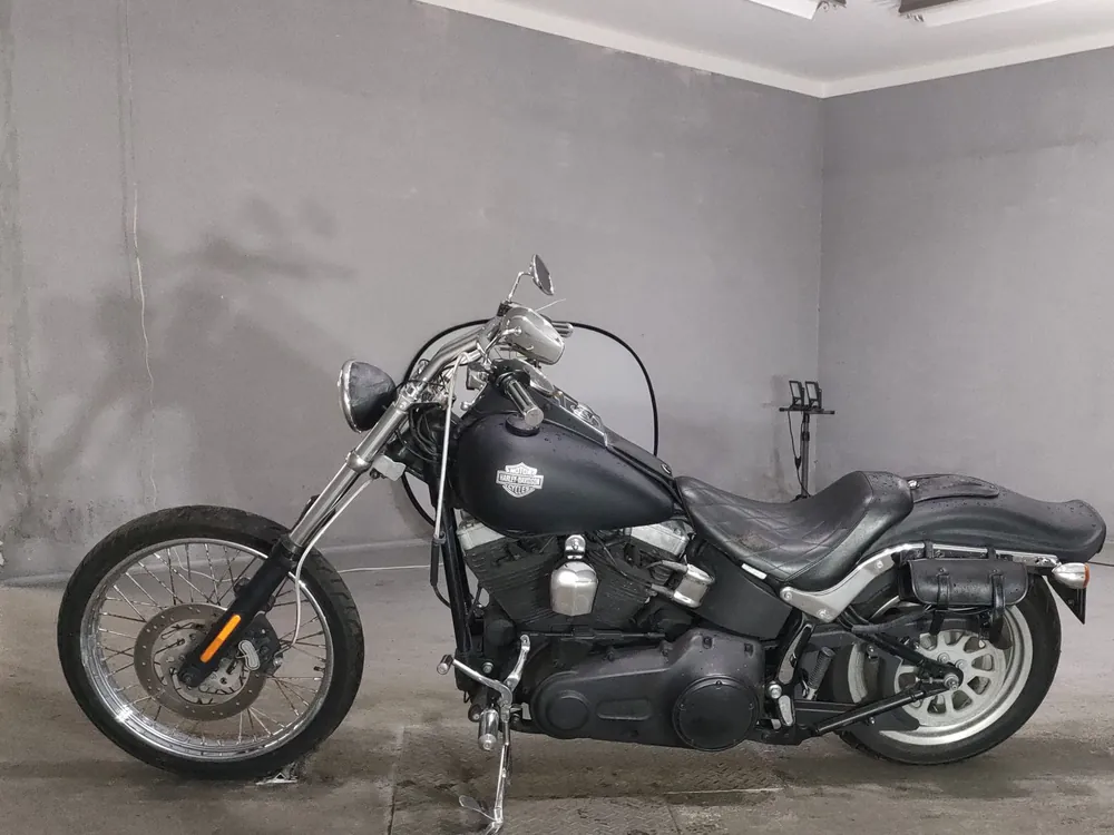 Harley-Davidson FXST1580 2007, чёрный, фото 2
