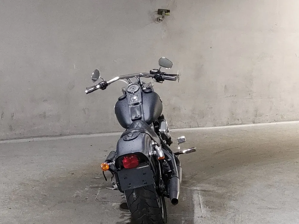 Harley-Davidson FXST1580 2007, чёрный, фото 4