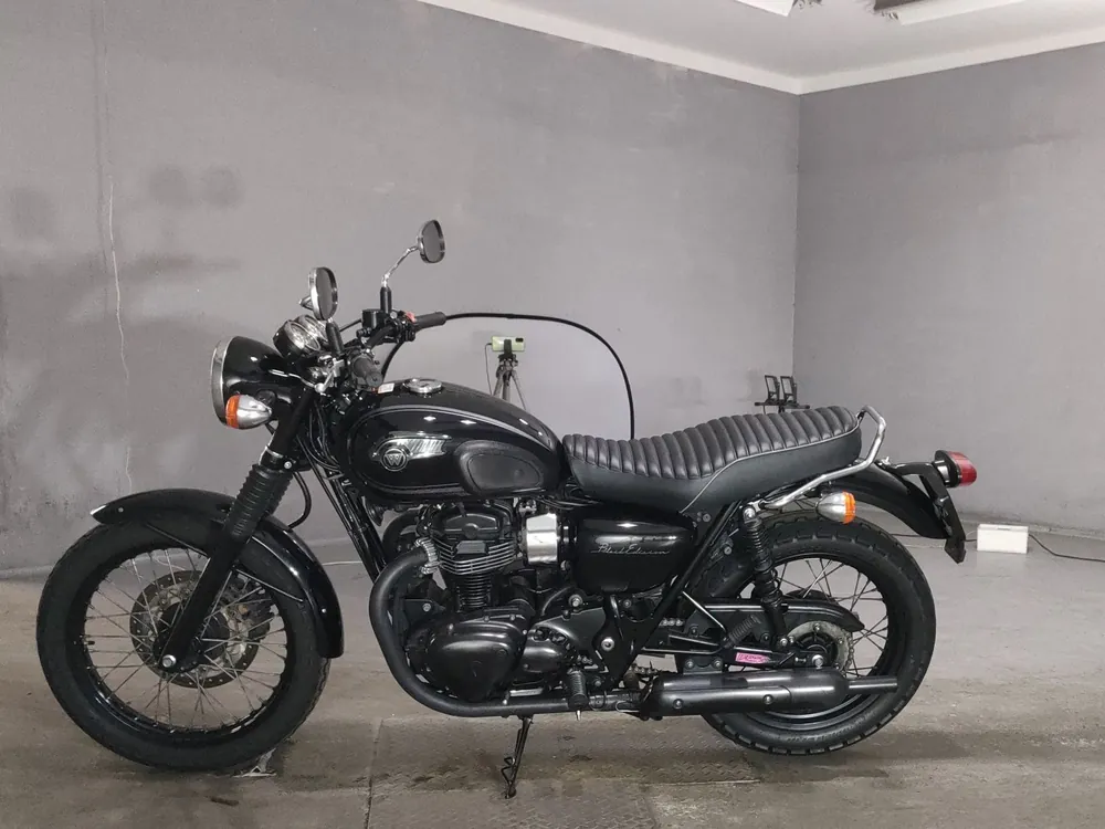 Kawasaki W800 2015, чёрный, фото 2