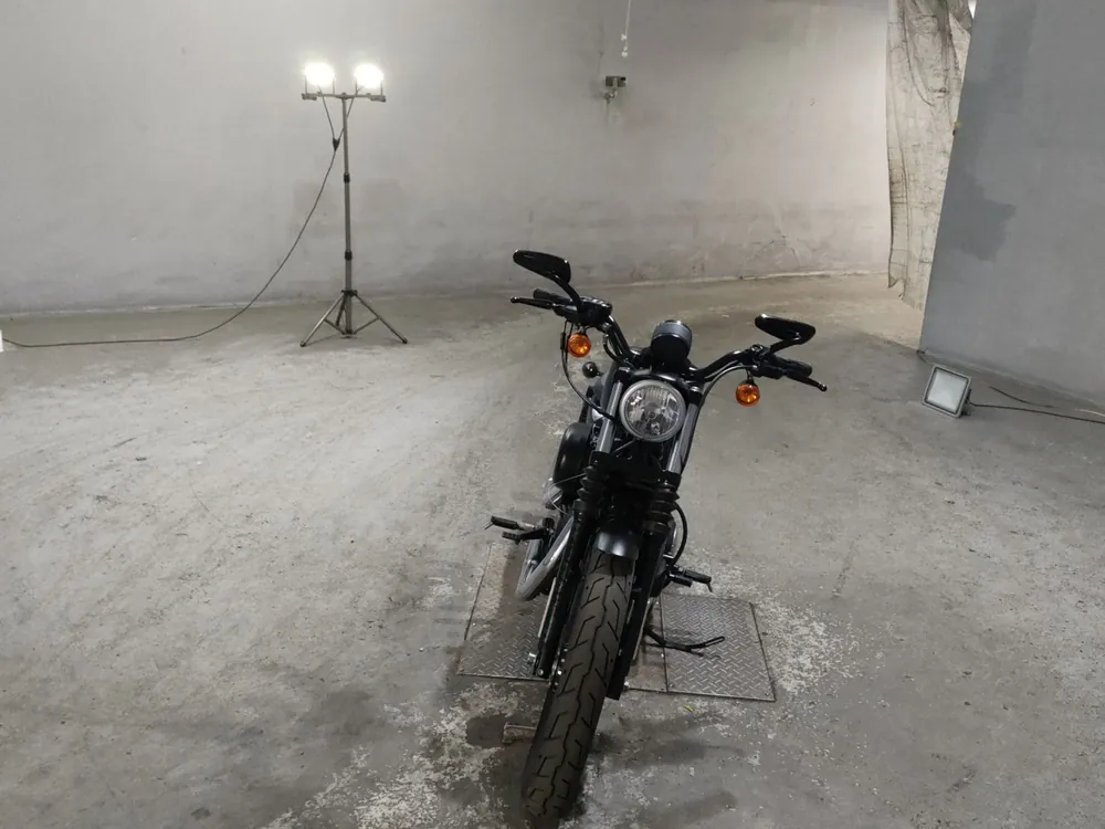 Harley-Davidson XL883N 2013, чёрный, фото 3